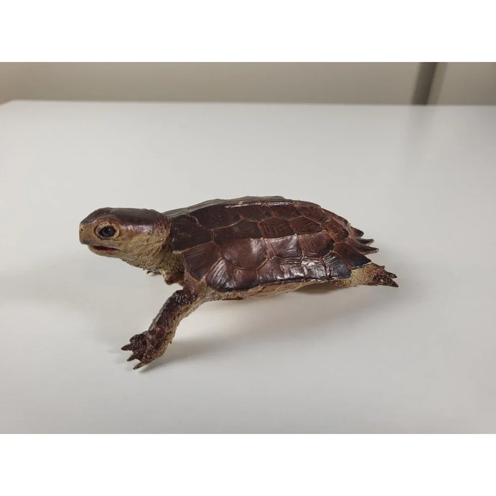 AAA Notched Rubber Tortoise Turtle Figure Realistic Discontinued Brown 4.75” L